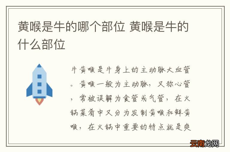 黄喉是牛的哪个部位 黄喉是牛的什么部位