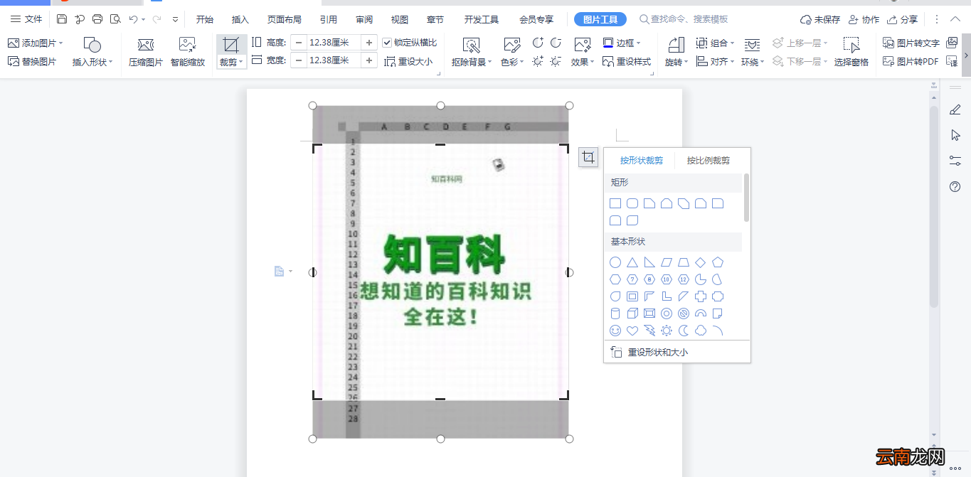如何裁剪Word中的图片