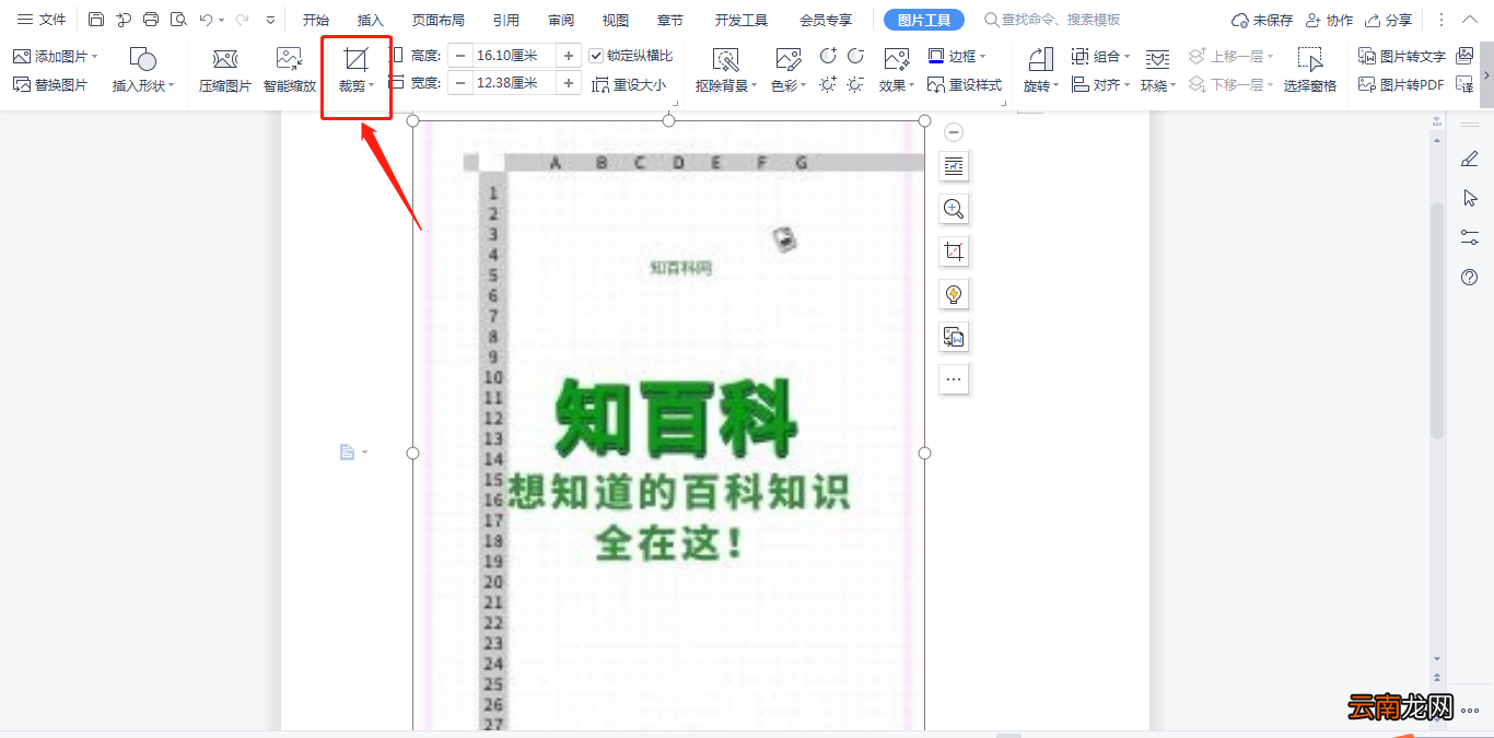 如何裁剪Word中的图片