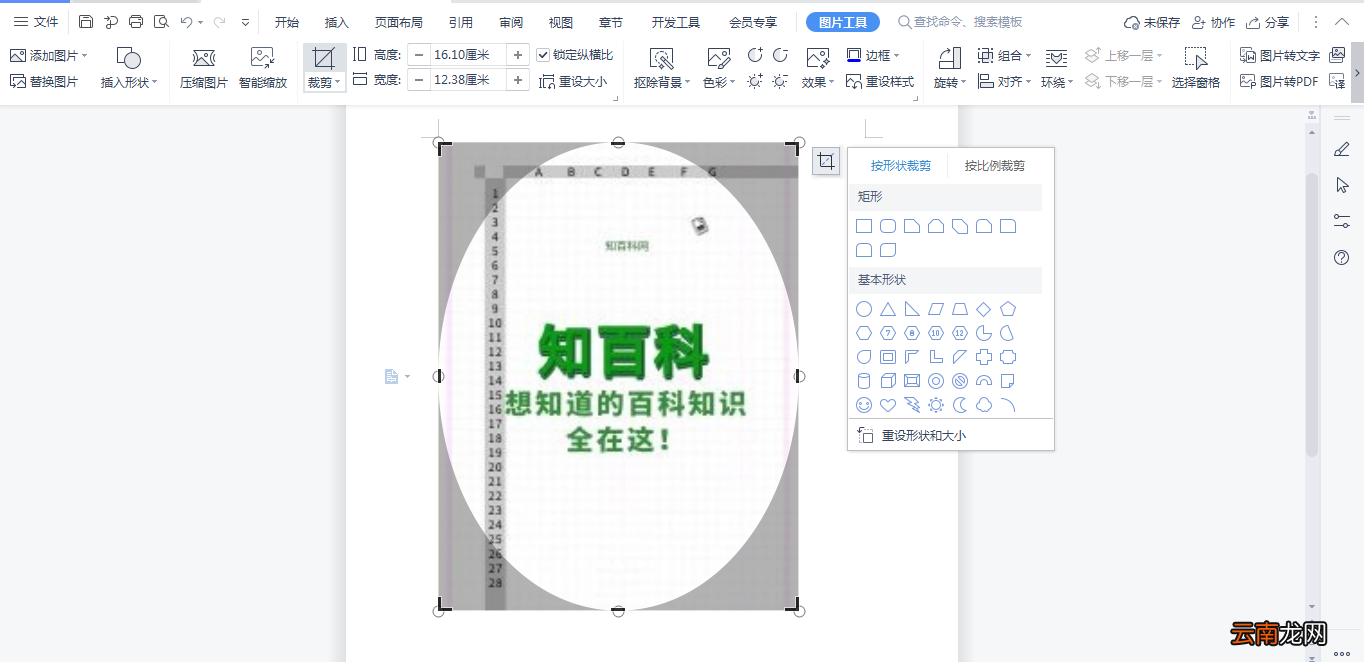 如何裁剪Word中的图片