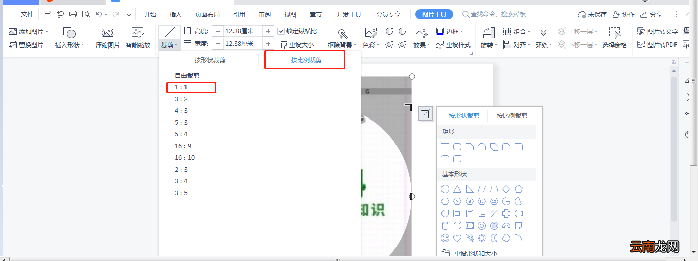 如何裁剪Word中的图片