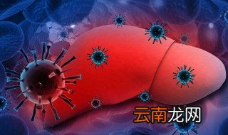 母亲乙肝遗传下一代吗 大家可以看看