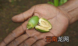 偶尔嚼槟榔有危害吗 会有哪些危害呢