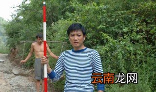 菊香大结局 几度菊花香中菊香的大结局是什么