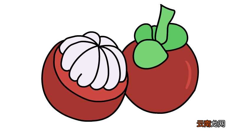 山竹简笔画 山竹简笔画怎么画