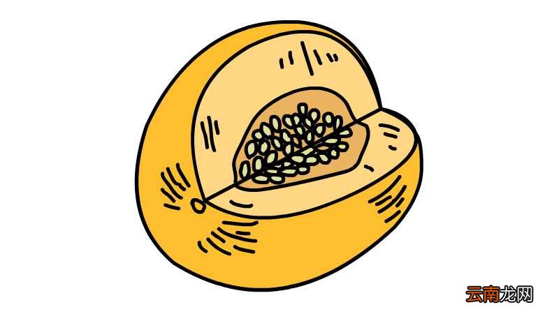 香瓜简笔画 香瓜简笔画怎么画