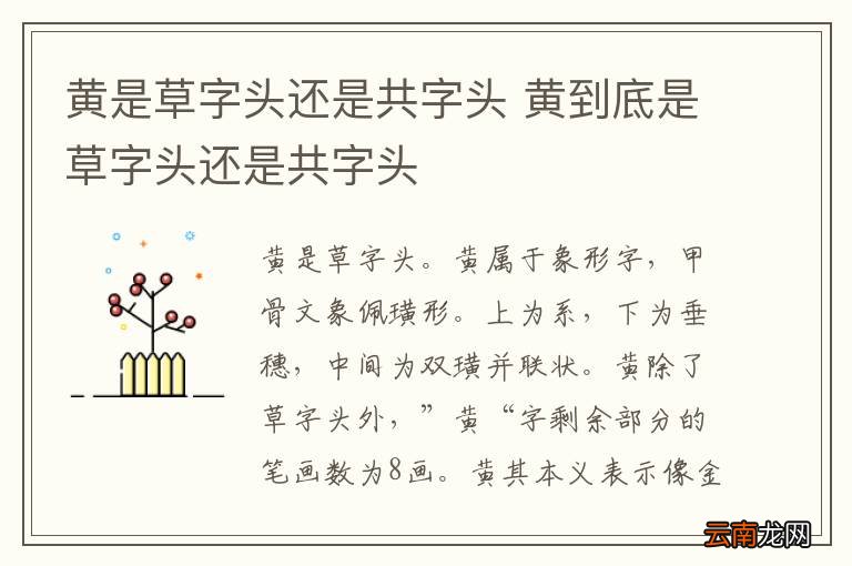 黄是草字头还是共字头 黄到底是草字头还是共字头