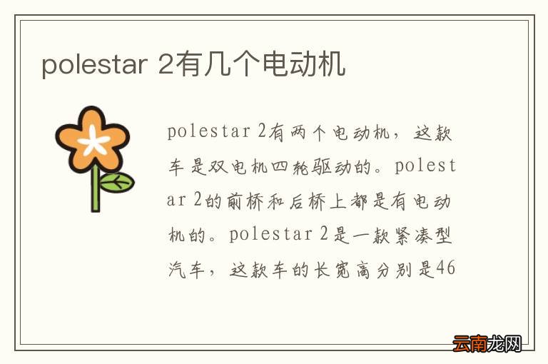 polestar 2有几个电动机
