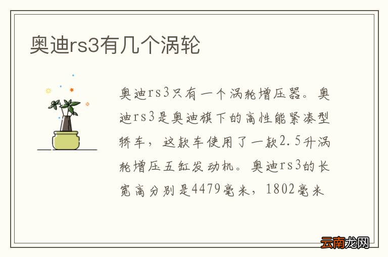 奥迪rs3有几个涡轮