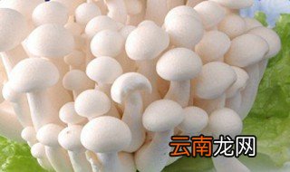 白玉菇的做法 需要什么材料