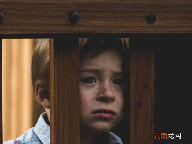 孩子偷钱后, 父母的处理方式, 藏着孩子的未来