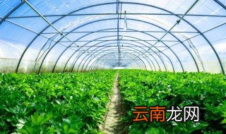 大为农科地址在哪里 大为农科简介
