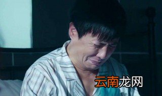 我是你的眼沈腾大结局 修成正果