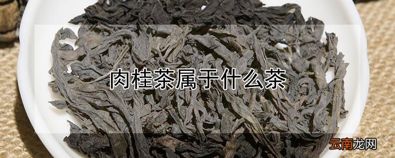 肉桂茶属于什么茶叶