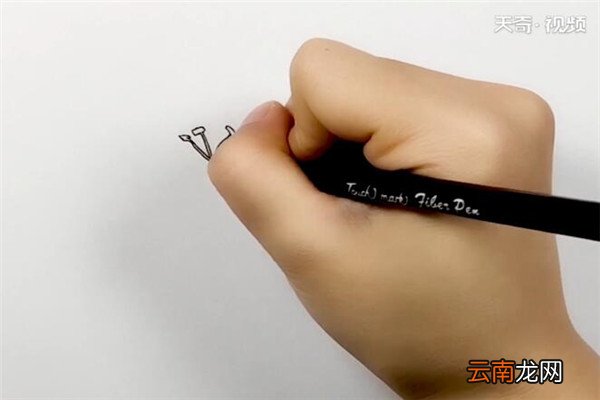 百合花简笔画