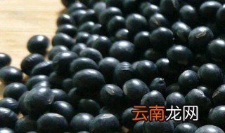 烤黑豆做法图解 烤黑豆的做法以及营养价值详解