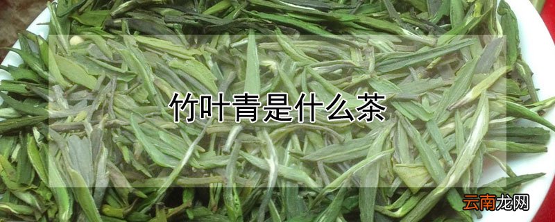 竹叶青是什么茶叶
