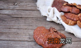 灵芝泡水喝的方法 灵芝泡水喝的方法是什么