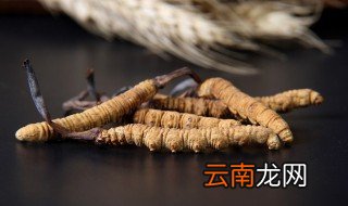 虫草泡水的最佳方法 虫草泡水的最佳方法是什么