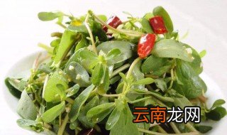 降血糖的三大菜 降血糖的菜有这几种