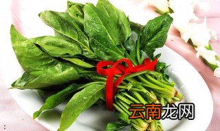 什么病不能吃菠菜 这两类人最好不要吃
