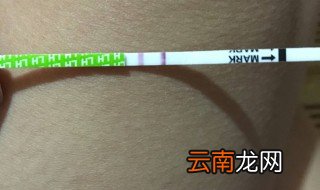 月经前是阳性吗 阳性是怀孕了吗