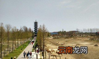 大丰旅游攻略 大丰旅游景点攻略