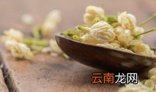茉莉花茶的冲泡方法 茉莉花茶的冲泡方法简单介绍