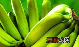 香蕉怎么种植方法如下 香蕉种植方法