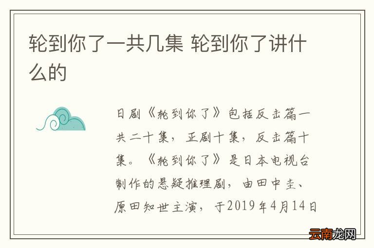 轮到你了一共几集 轮到你了讲什么的