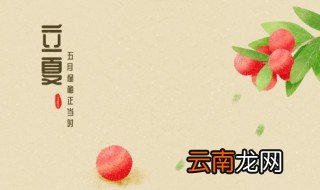 立夏还能种五叶瓜吗 立夏还能不能种五叶瓜