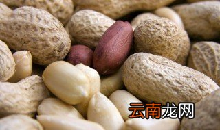 立夏播种花生好吗 立夏播种花生好不好