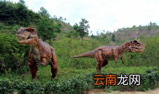 杂食性恐龙有哪些 杂食性恐龙的主要食物有哪些