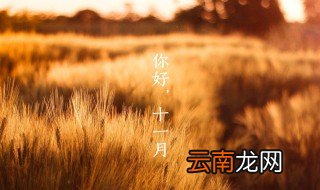 唯美十一月的简短句子 唯美十一月的简短句子精选
