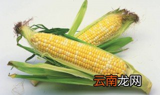 玉米的拼音 玉米还有哪些叫法