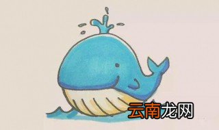 鱼怎么画 鲸鱼简笔画