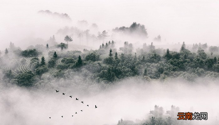 紫气东来下一句是什么 紫气东来下一句是什么成语