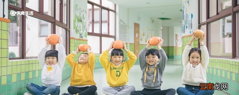 幼儿园教育的特点是什么 幼儿教育特点包括什么