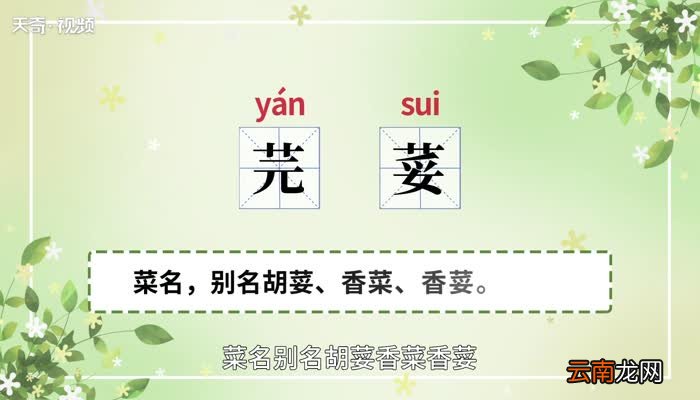 芫荽的意思 芫荽什么意思