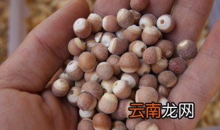 鸡头米怎么储存 鸡头米如何储存