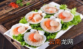 扇贝肉怎么储存 如何保存扇贝肉