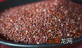 红藜麦米的食用方法 红藜麦米怎么食用