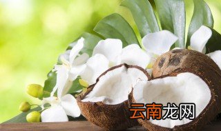 椰青怎么储存 椰青储存方法