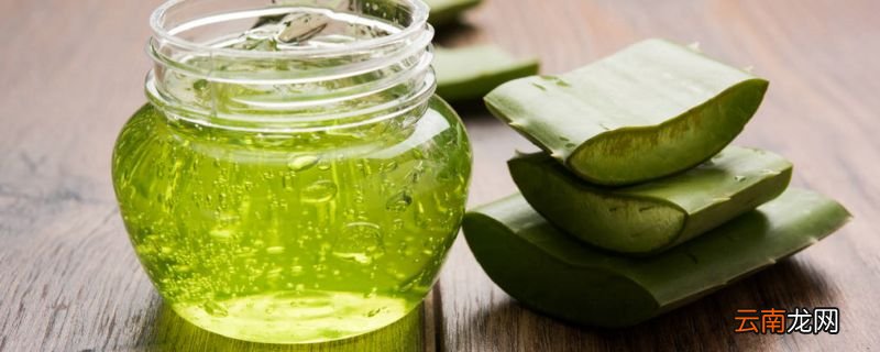 芦荟祛痘的使用方法芦荟祛痘怎么做