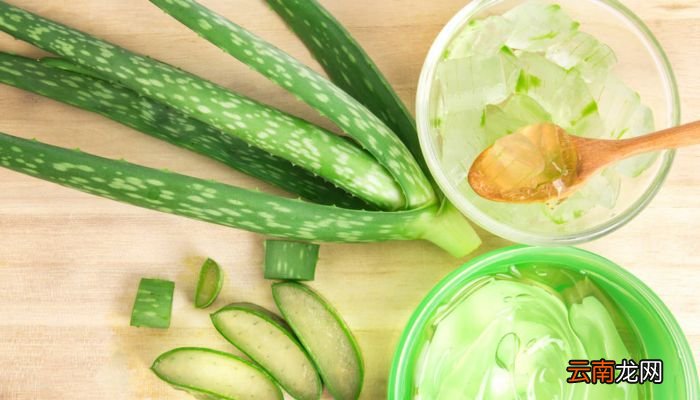 芦荟祛痘的使用方法芦荟祛痘怎么做