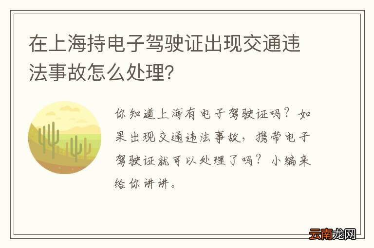 在上海持电子驾驶证出现交通违法事故怎么处理？