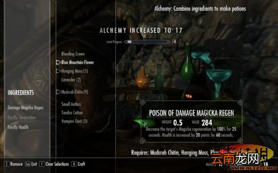 《上古卷轴5：天际》工匠大师之路