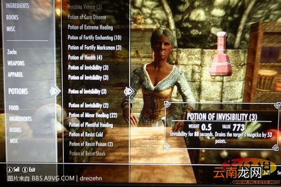 《上古卷轴5：天际》工匠大师之路