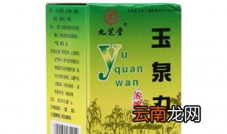 玉泉丸的功效与作用 玉泉丸的功效与作用概述