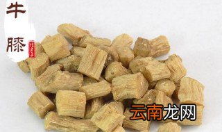牛膝功效与什么是绝配 牛膝功效与作用有哪些